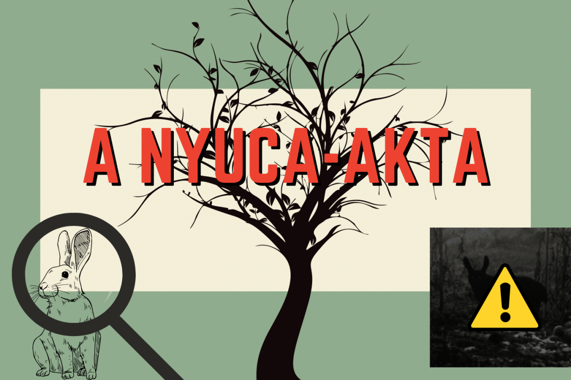 Demendy Zoltán: A NYUCA-AKTA